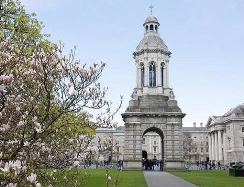 高等教育强国：一份关于爱尔兰八所国立大学以及优质专业的介绍